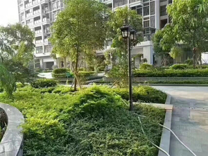 深圳沙井唯一分期6栋村委统建楼中央花园均价15000分期五年盛大开盘