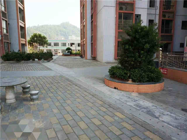 QQ图片20200331131918.jpg