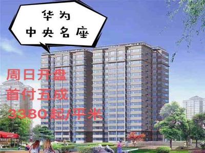 2栋松山湖最便宜小产权房《华为·中央名座》3380一平起价-华为地铁口100米