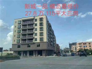 横沥村头最便宜小产权房《新城一品》单价只要2680一平-无敌视野江景豪宅