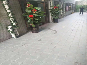 东莞横沥4栋大型小产权房最新推出销售，【中心花园】门口就是学校的新楼盘