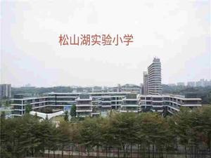 大岭山马蹄岗小产权房【松湖里】与松山湖一路之隔-首付3万买大二房-首付4万买大三房