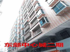 惠州惠阳小产权房出售信息-《东部中心城》两房28万套起