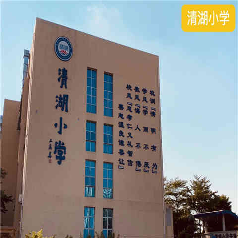 清湖小學,2公里以內的龍華中心小學,偉民小學,寶崗小學等